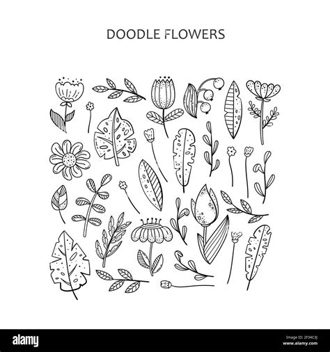 Hand Drawn Doodle Set Of The Floral Elements Flowers Plants Leaves