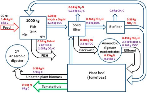 Water Free Full Text Nutrients And Energy Balance Analysis For A