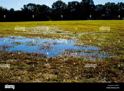 Small Puddle In The Middle Of The Field Stock Photo Alamy