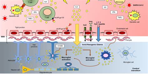 Avian Flu Diary: PrePrint: Cytokine Release Syndrome-Associated ...