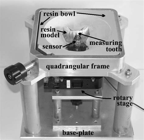 Upper central incisor tooth | Semantic Scholar