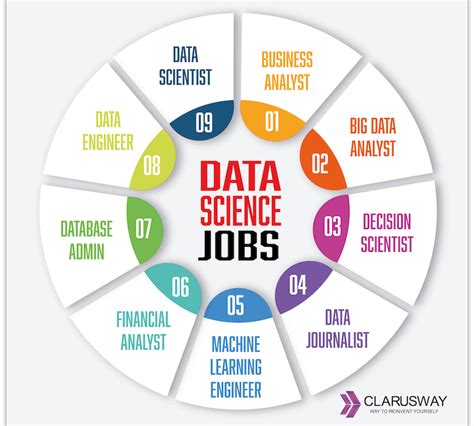 Navigating Data Science Career Paths A Comprehensive Guide To Success