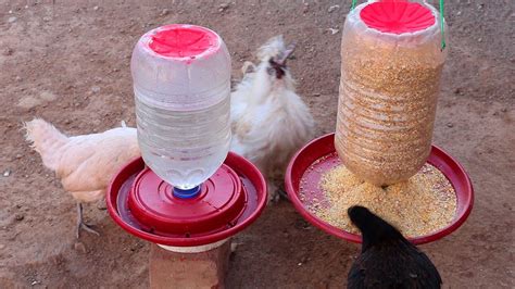 Como Hacer Bebedero Y Comedero Para Pollos Pollitos Y Gallinas Con