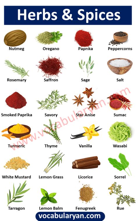 List of Herbs and Spices Vocabulary – VocabularyAN