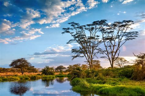 Serengeti National Park Rivers Serengeti Safari Tours Serengeti Tours