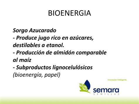 PPT BIOENERGIA Y ECOMATERIALES El Aporte Del Sorgo En La