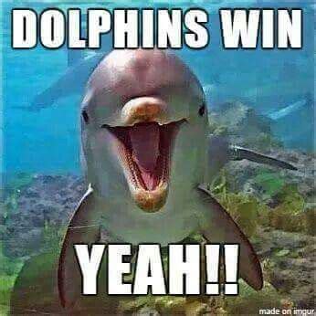 Miami Dolphins Funny Memes | Funny Memes Fun