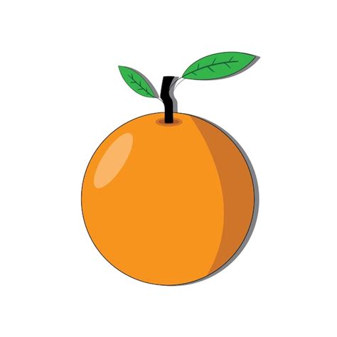 Una ilustración de una naranja sobre un fondo blanco Vector Premium