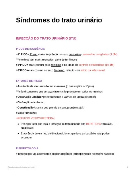 Sd Urinário Resumo Síndromes Do Trato Urinário InfecÇÃo Do Trato