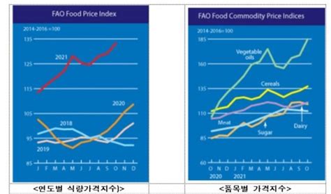 세계식량가격지수 석달 연속 오름세곡물·유지류 상승 네이트 뉴스