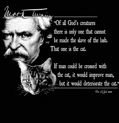 Albert Schweitzer Quotes Animals. QuotesGram