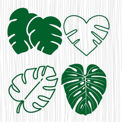 Tropical Leaves Svg Tropical Leaf Clipart Monstera Leaf Svg Etsy