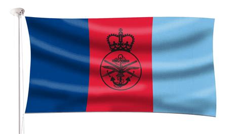 Joint Service Flag Hampshire Flag Company