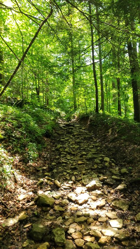 Gladie Creek Loop Bison Way Lost Branch Osborne Bend Tower Rock