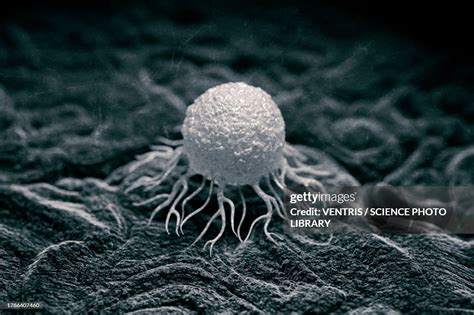 Cancer Cell Illustration High-Res Vector Graphic - Getty Images