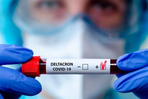 La Oms Confirma Variante Deltacron Una Combinaci N De Micron Y Delta