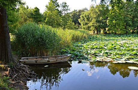 Трансильвания, Румыния — подробная информация с фото