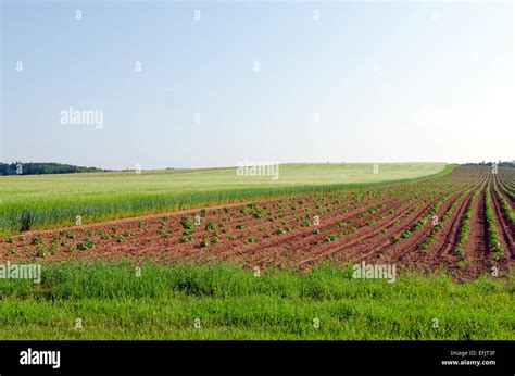 View Of Fields And Forests Of Prince Edward Island Stock Photo Alamy