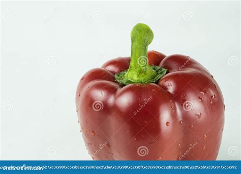 Pimiento De Campanilla Roja Con Gotitas De Agua Imagen De Archivo