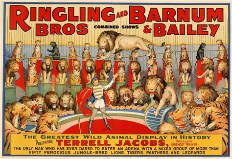 34 Best Ringling Brothers And Barnum And Bailey Circus Acts Images On