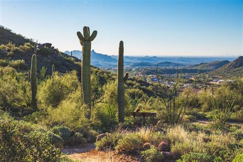 10 Best Hiking Trails In & Around Scottsdale, Arizona