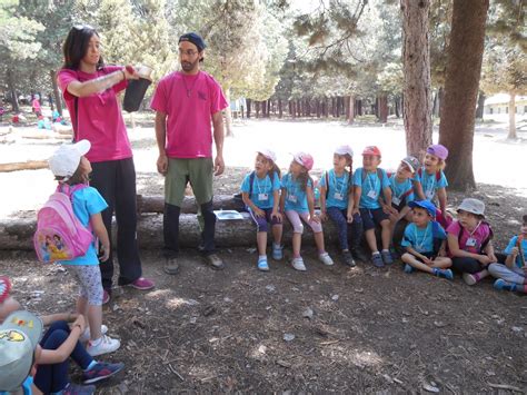 Bloggeando En Infantil Ceip Pedro Duque Excursi N De Fin De Ciclo De