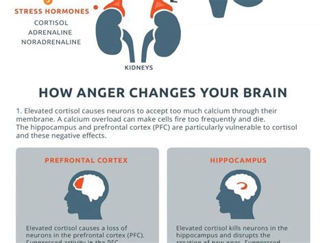 How Anger Affects The Mind And Entire Body Teamdarfur