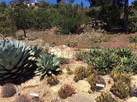 Santa Barbara Botanic Gardens Native Plants Garden Inspi Flickr