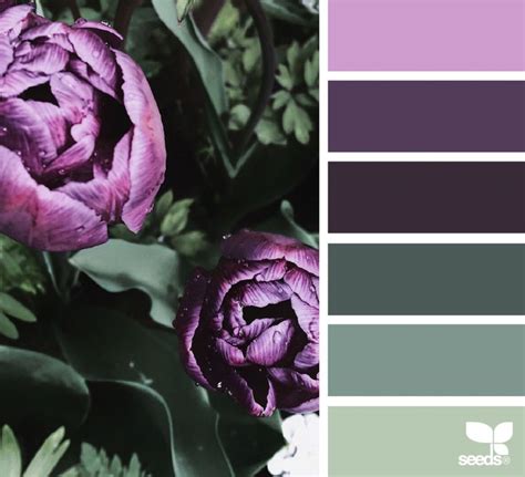 Color Flora Design Seeds Seeds Color Design Seeds Color Palette