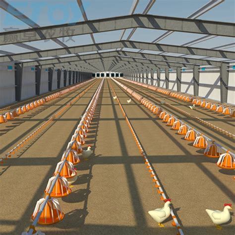 Automatic Poultry Farm Equipment Floor Raising Chicken Broiler Breeder