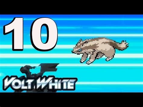 Pokemon Volt White Nuzlocke Part Forest Clearing Youtube