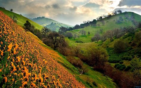 Nanda Devi and Valley of Flowers National Parks - India - Fanpop