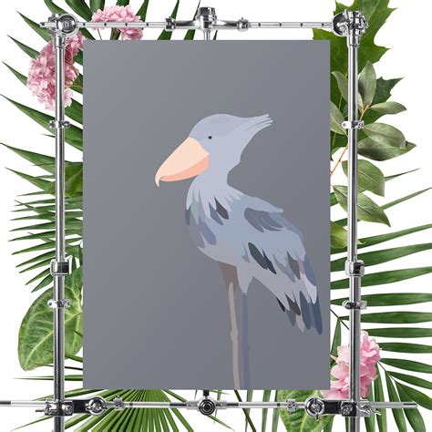 Shoebill bird on Behance