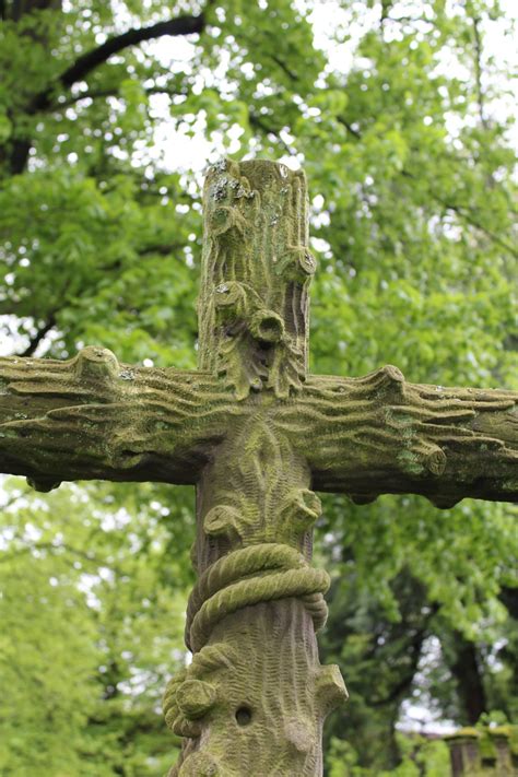 Free Images Tree Branch Flower Trunk Old Stone Moss Statue