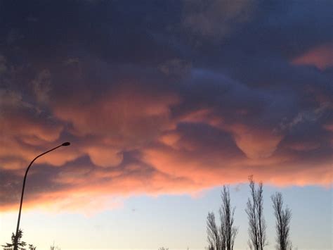 Photos: Dazzling mammatus clouds at sunset | KOMO