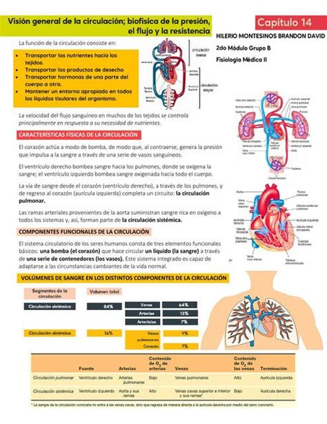 Visión general de la circulación biofísica de la presión el flujo y la