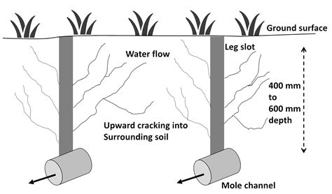 Mole Drainage Systems Managing Wet Soils Dairy Livestock And