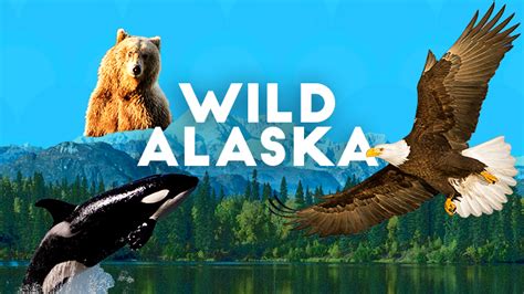 Wild Alaska | PBS LearningMedia