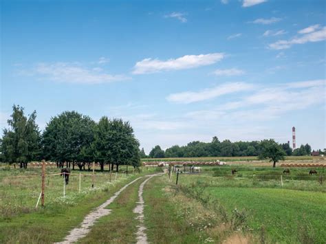 Zabrzański Szlak Rowerowy Górnośląsko Zagłębiowska Metr