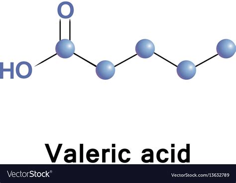 Valeric acid or pentanoic Royalty Free Vector Image