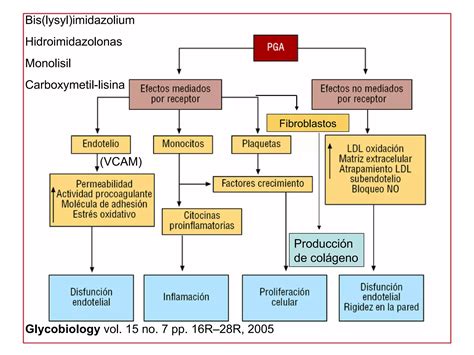 Complicaciones Cronicas De La Diabetes Mellitus Hesv Ppt