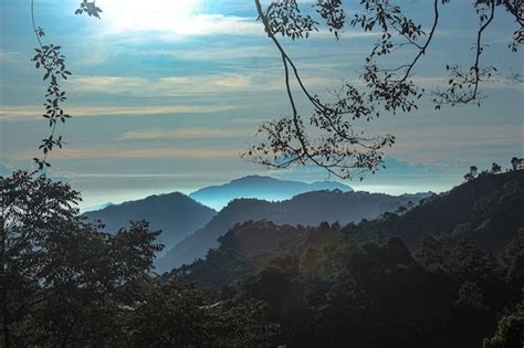 Premium Photo | Pemandangan di curug cipamingkis sukamakmur bogor