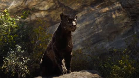 Le Livre De La Jungle Comment Les Animaux Du Film Ont Ils T Cr S