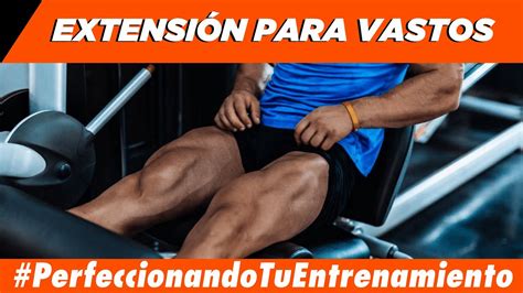 Como Hacer ExtensiÓn De Pierna Con Enfoque Para Los Vastos Youtube