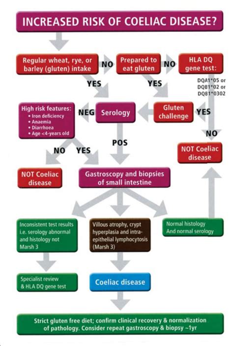 Coeliac Disease Testing and Diagnosis