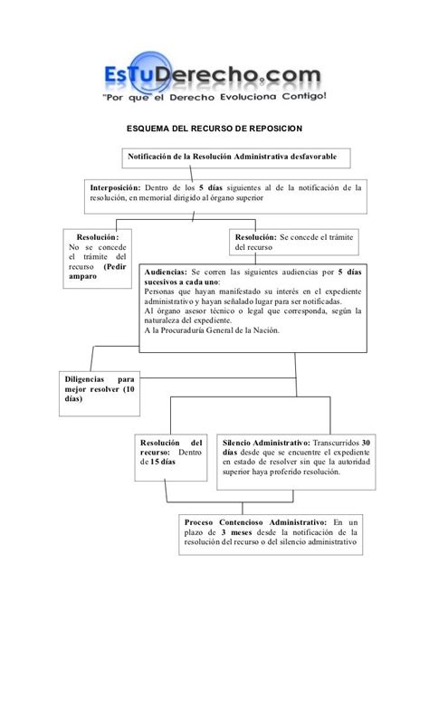 ESQUEMA DEL RECURSO DE REPOSICION Notificación de la Resolución