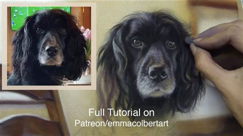 Paint Fur And Backgrounds In Pastel Timelapse Painting Fur Painting Soft Pastels Drawing