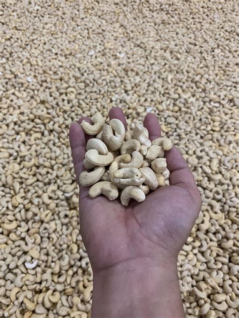 Our Company Specializes In Receiving Export Orders For Cashew Nuts All