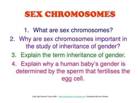 Ppt Sex Chromosomes Powerpoint Presentation Free Download Id1109408