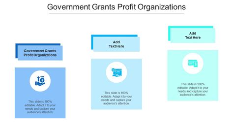 Government Grants Profit Organizations Ppt Powerpoint Presentation Show